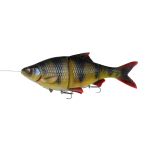 4D Line Thru Roach 25cm