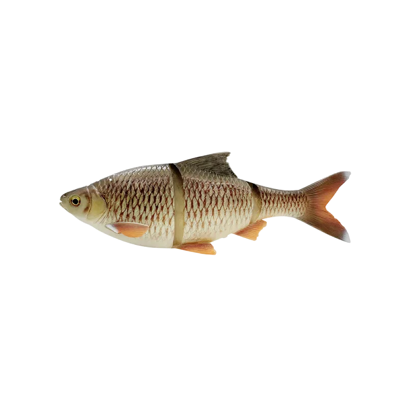 4D Line Thru Roach 32cm