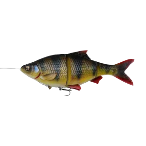 4D Line Thru Roach 32cm