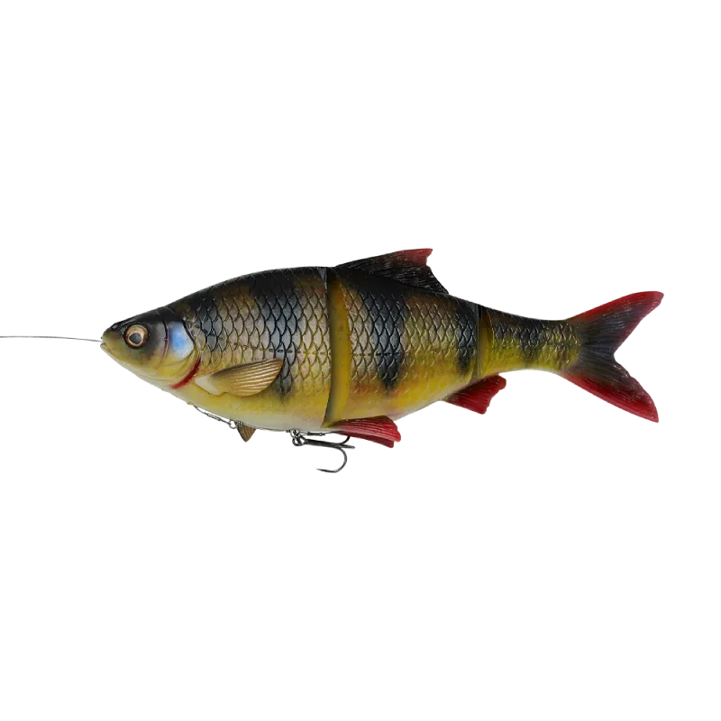 4D Line Thru Roach 32cm