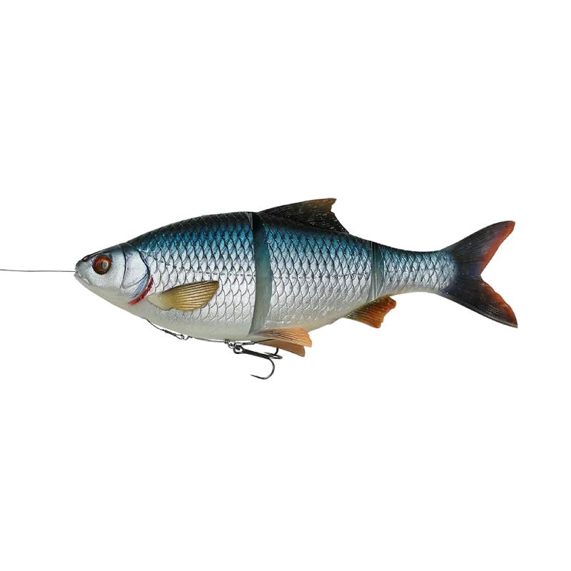 4D Line Thru Roach 32cm