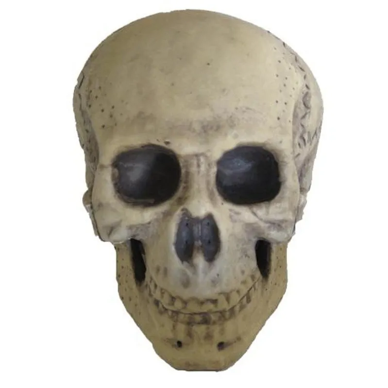 9.5" Foam Skull Prop