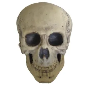 9.5" Foam Skull Prop