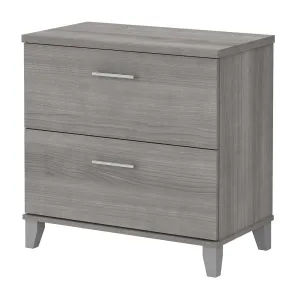 Magomed 2-Drawer Lateral Filing Cabinet Gracie Oaks Color: Platinum Gray