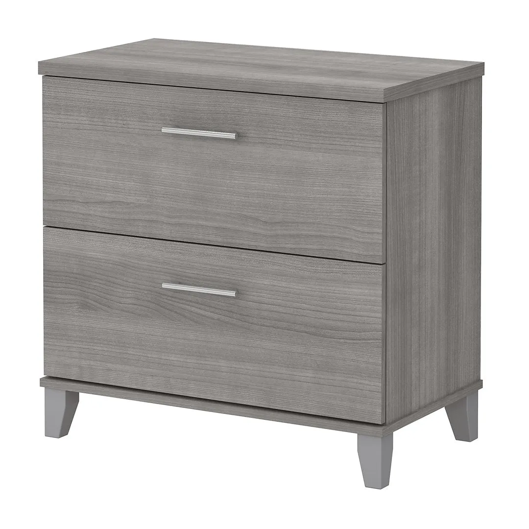 Magomed 2-Drawer Lateral Filing Cabinet Gracie Oaks Color: Platinum Gray