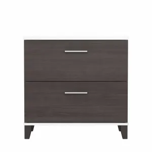 Magomed 2-Drawer Lateral Filing Cabinet Gracie Oaks Color: Storm Gray/White