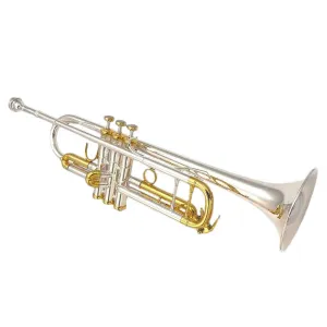Pre-Owned Cannonball 826 Artist Bb Professional Trumpet