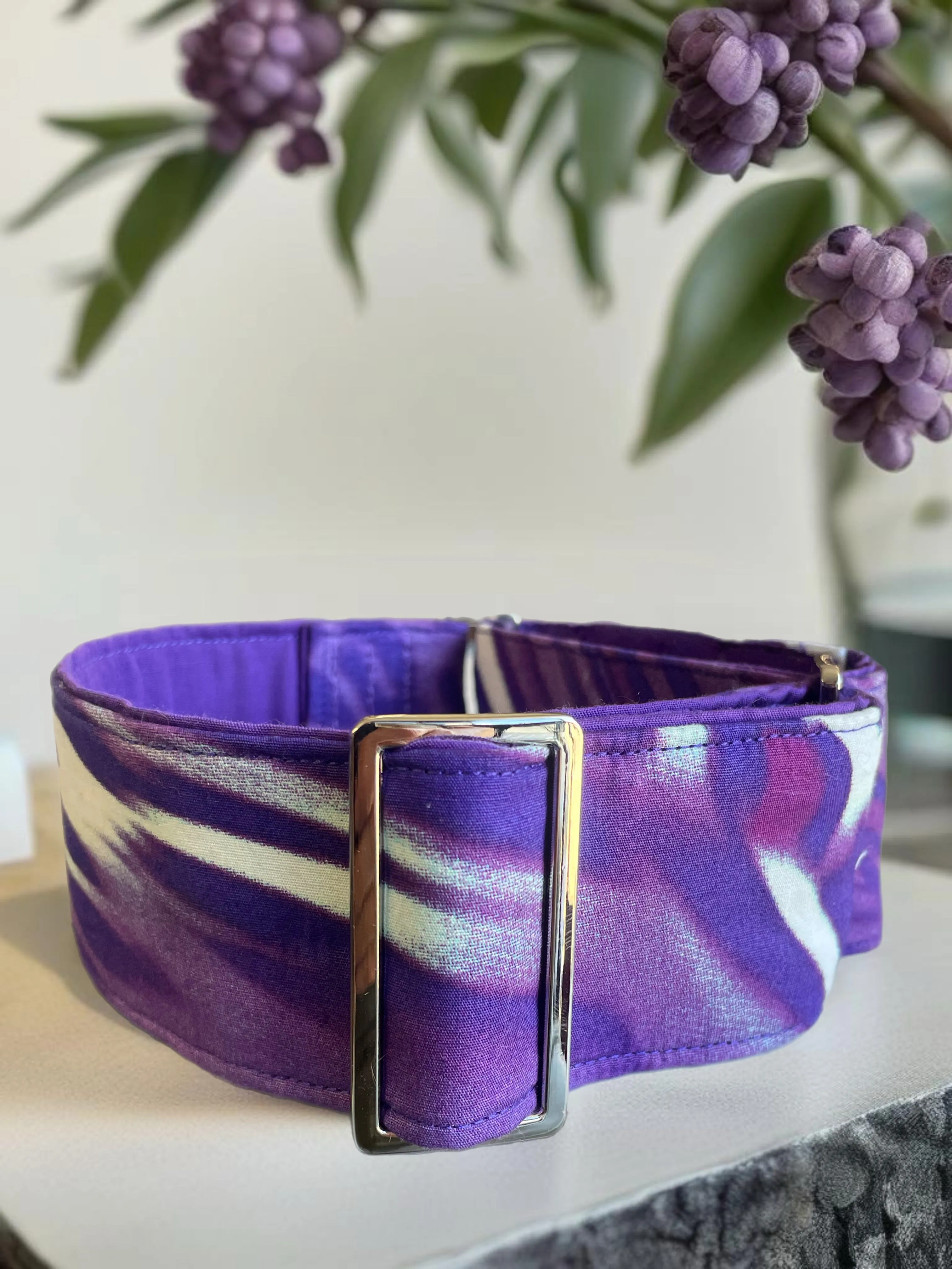 Rich purple designs greyhound Martingale collar cotton covered