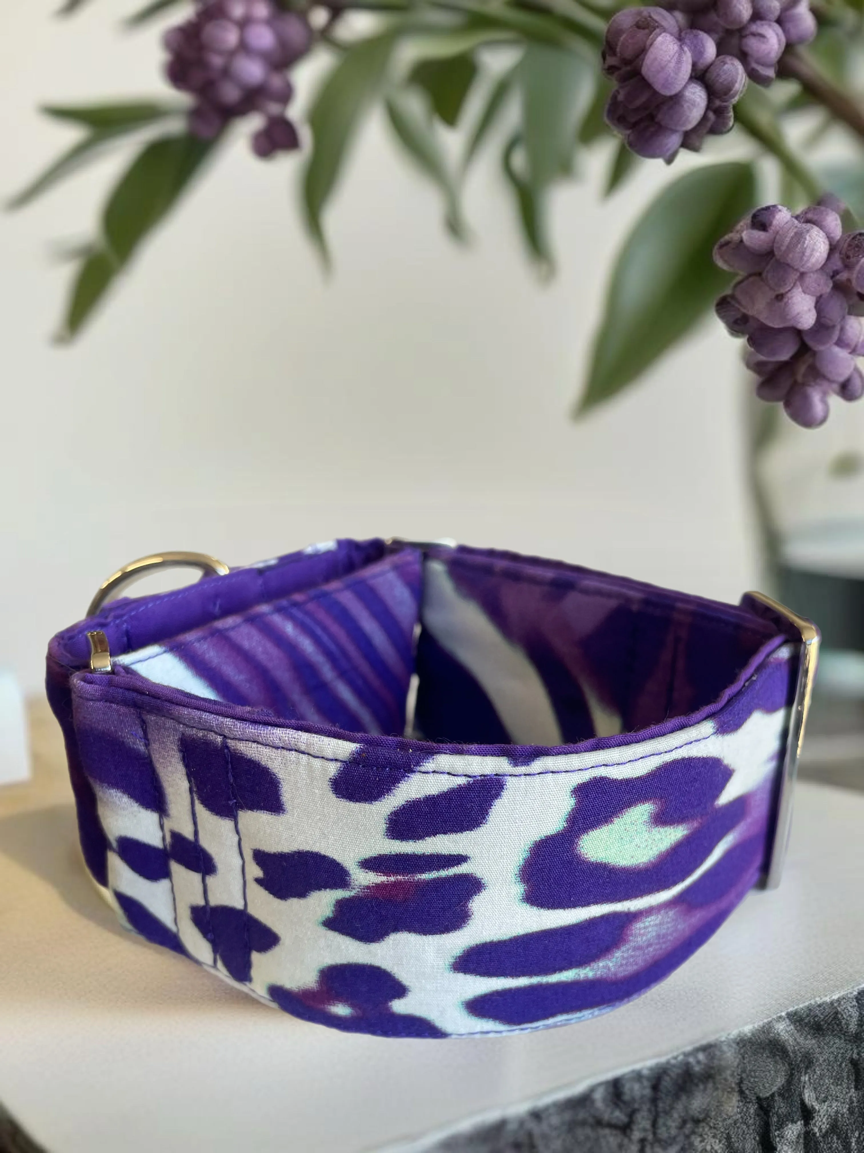 Rich purple designs greyhound Martingale collar cotton covered