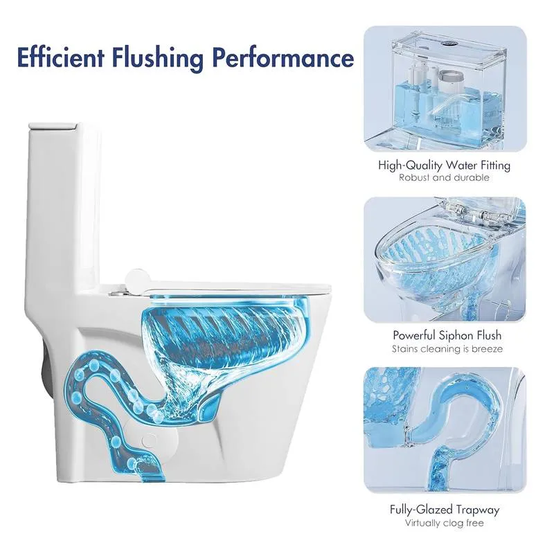 Sleek Dual Flush One-Piece Toilet with Soft-Close Seat