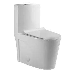 Sleek Dual Flush One-Piece Toilet with Soft-Close Seat