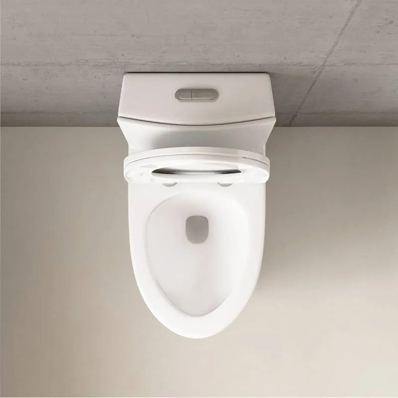 Sleek Dual Flush One-Piece Toilet with Soft-Close Seat