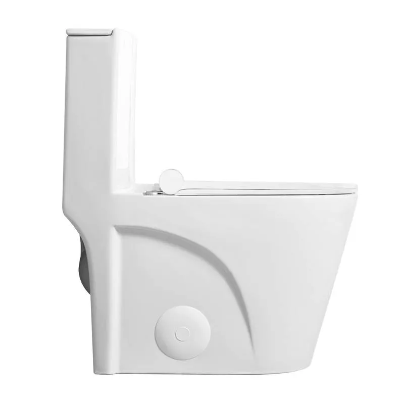Sleek Dual Flush One-Piece Toilet with Soft-Close Seat