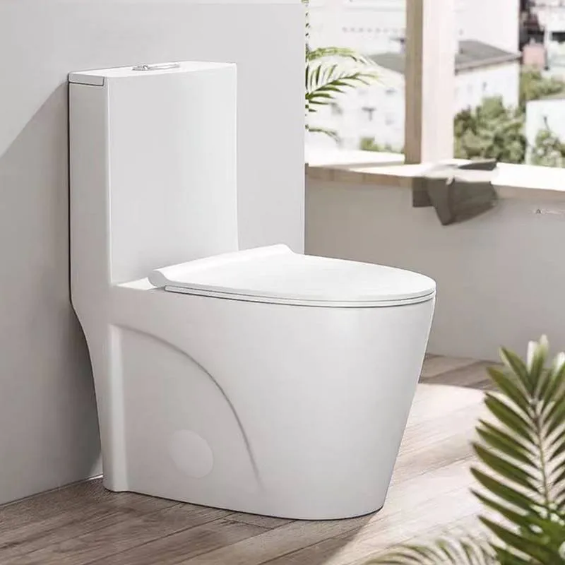 Sleek Dual Flush One-Piece Toilet with Soft-Close Seat