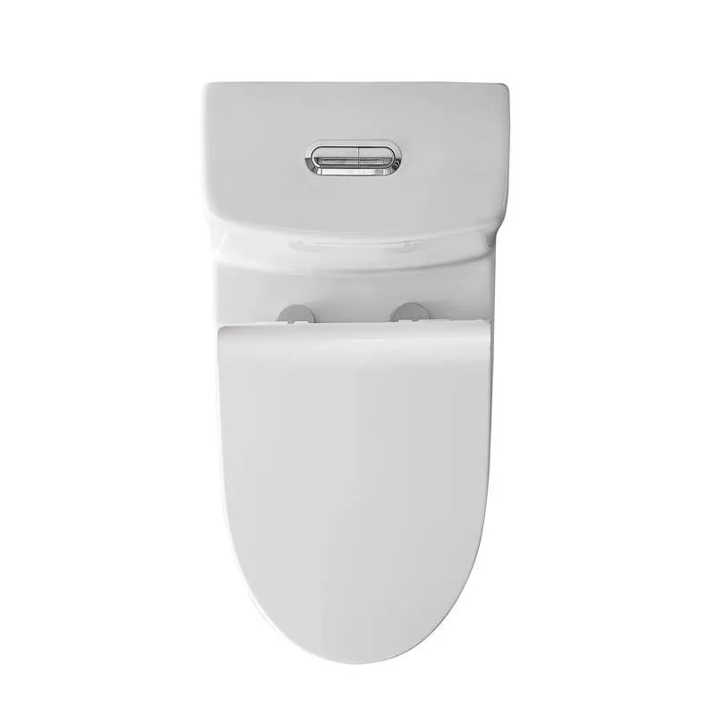 Sleek Dual Flush One-Piece Toilet with Soft-Close Seat
