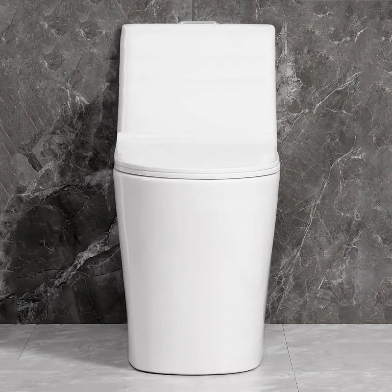 Sleek Dual Flush One-Piece Toilet with Soft-Close Seat